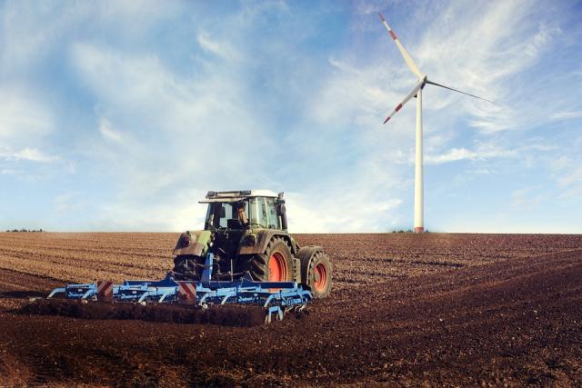 AGRICOLTURA E FORESTALE